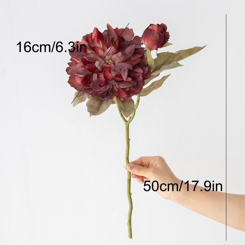 1PC Light Luxury 2 Head Big Pe - đánh giá và giá Photography Lighting Simulator Free